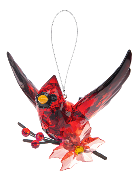 5" Poinsettia Acrylic Cardinal
