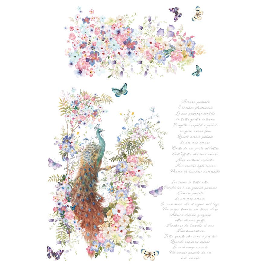 Hokus Pokus Decor Transfer Bellisimo