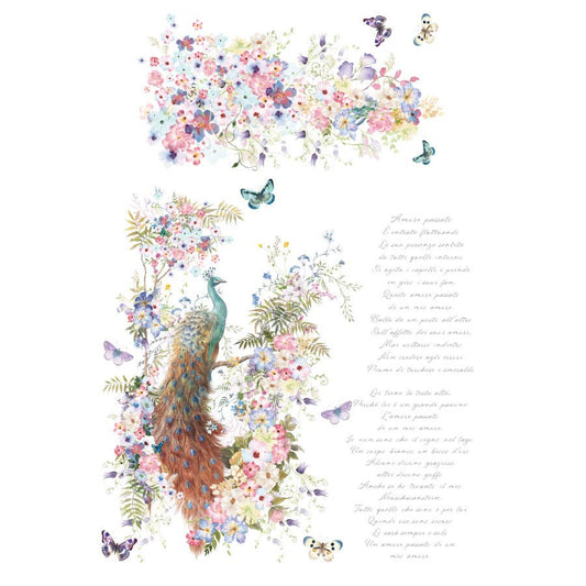 Hokus Pokus Decor Transfer Bellisimo