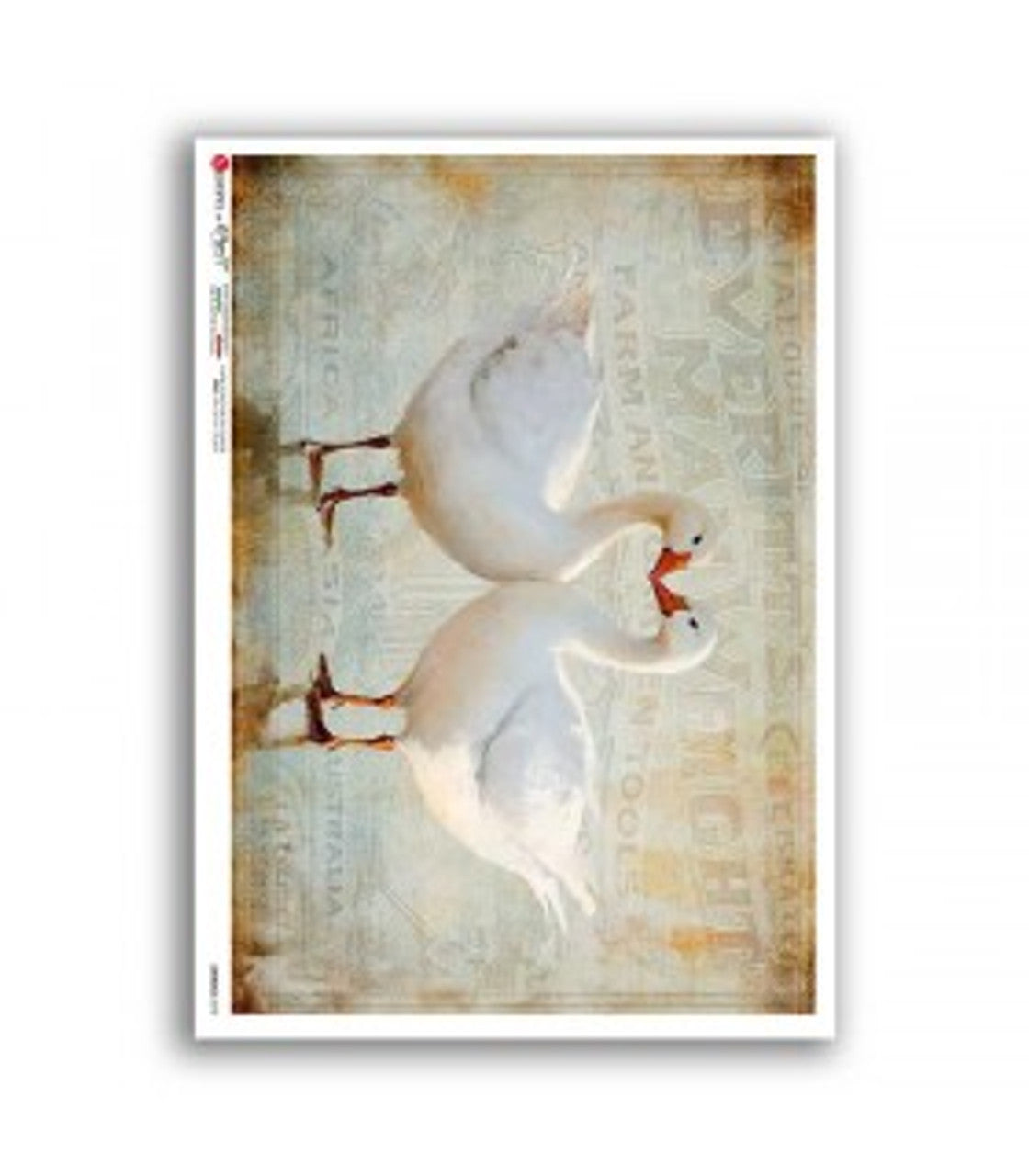 Paper Designs - Graceful Companions A1 Rice Paper
