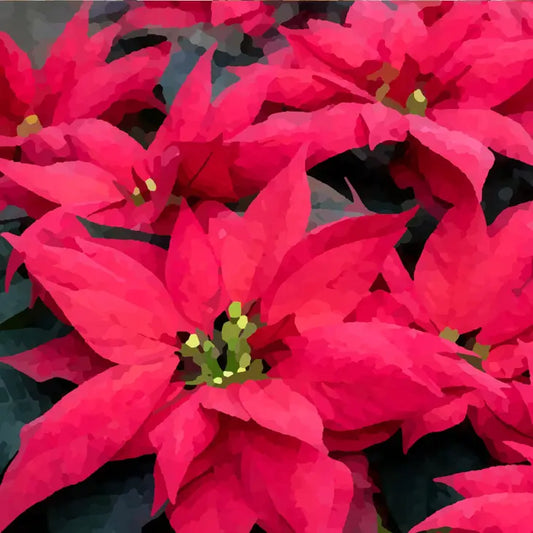 Ninnys Napkind : Poinsettia Decoupage 8.3x10.6"
