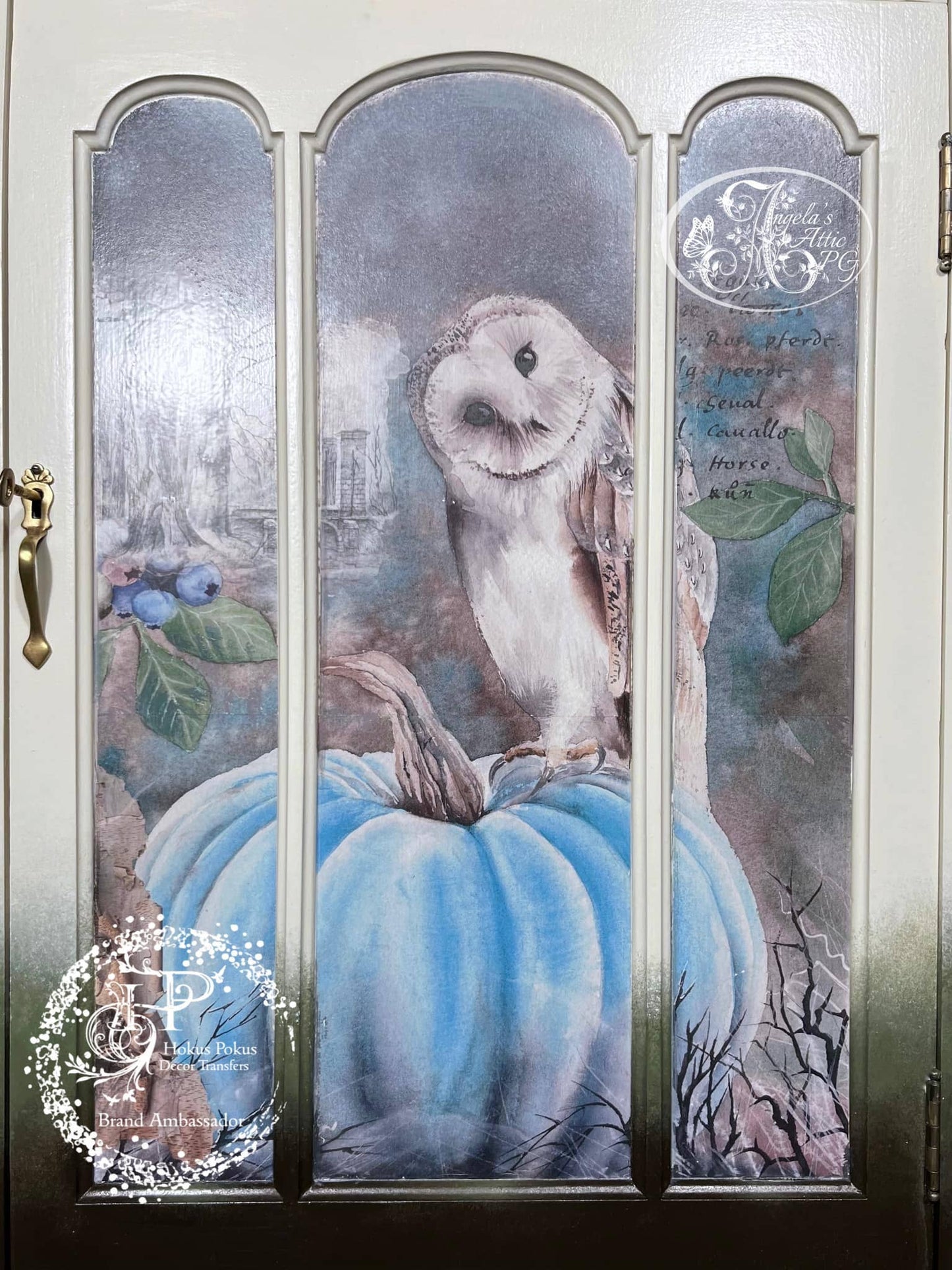 Hokus Pokus Transfer The Owl and the Buggy