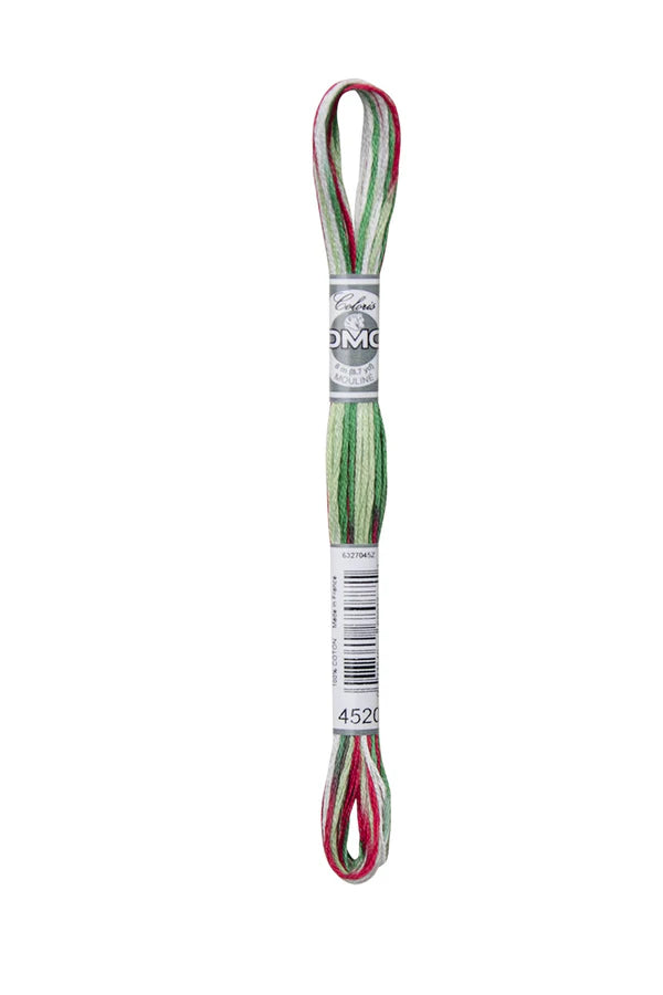 DMC Coloris 6-Strand 4500