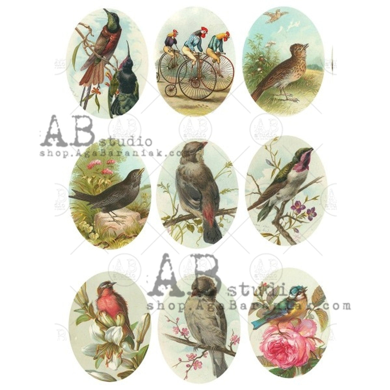 AB Studios : Bird Cameos Rice Paper A4
