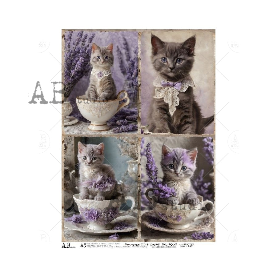 AB Studios - #4360 Kittens in Tea Cups A3 Rice Paper