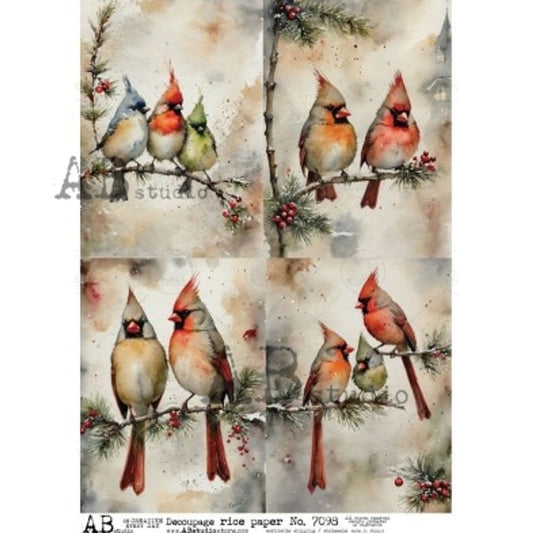 AB Studios - Cardinals & Songbirds A4 Rice Paper