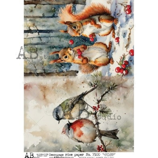 AB Studios - Winter Squirrels & Birds A4 Rice Paper