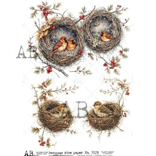 AB Studios - Birds in Nests with Holly A4 Rice Paper