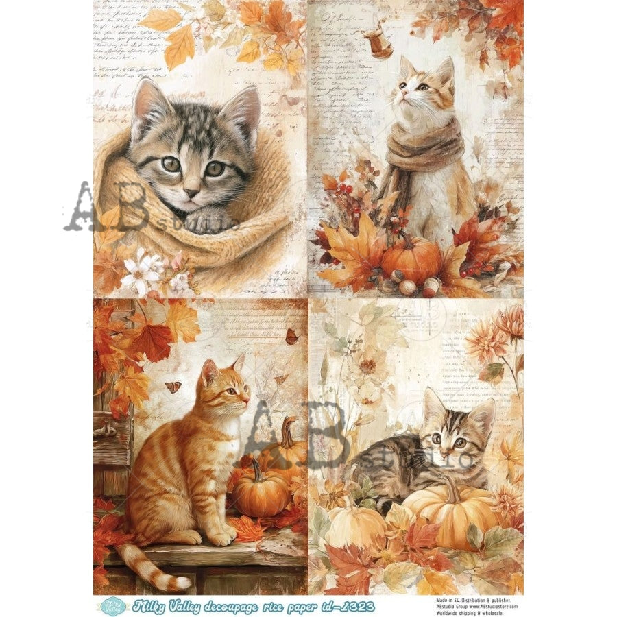 AB Studios - #1323 4 Fall Cat Images A4 Rice Paper