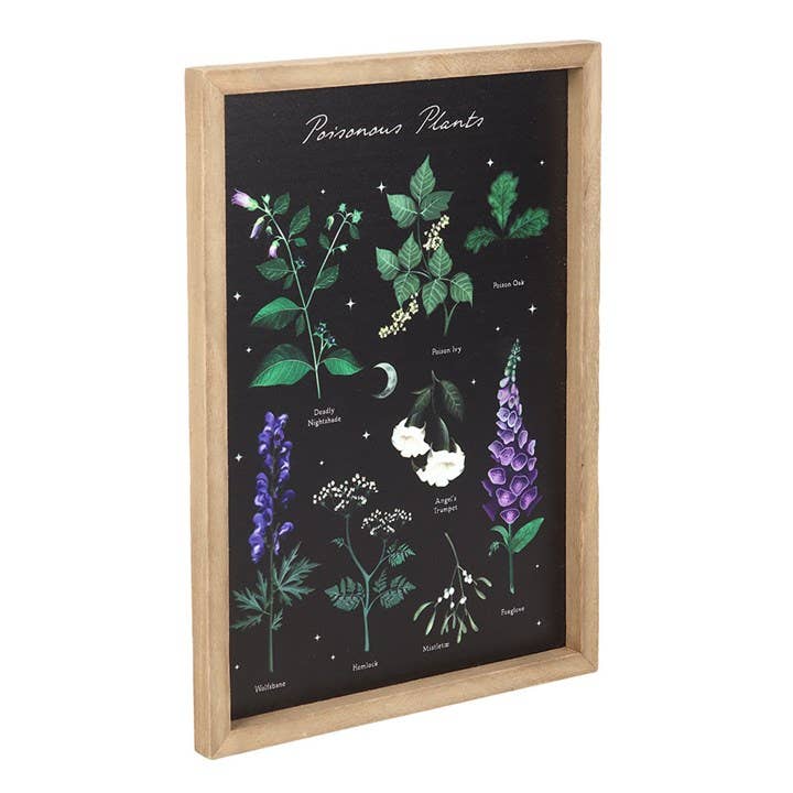 Something Different Wholesale Poisonous Plants Gothic Botanical Framed Wall Art Print