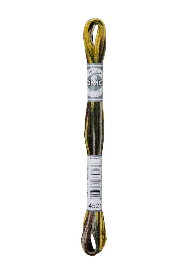 DMC Coloris 6-Strand 4500
