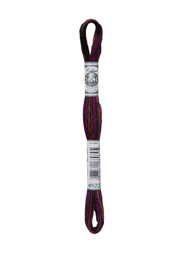 DMC Coloris 6-Strand 4500