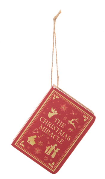 Asst Book Ornament