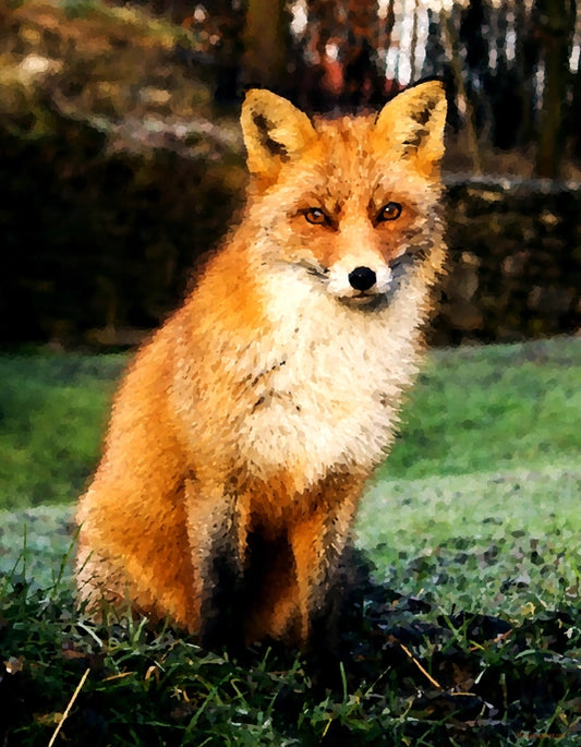 Ninny Napkins : Fox Decoupage 8.3x10.6"