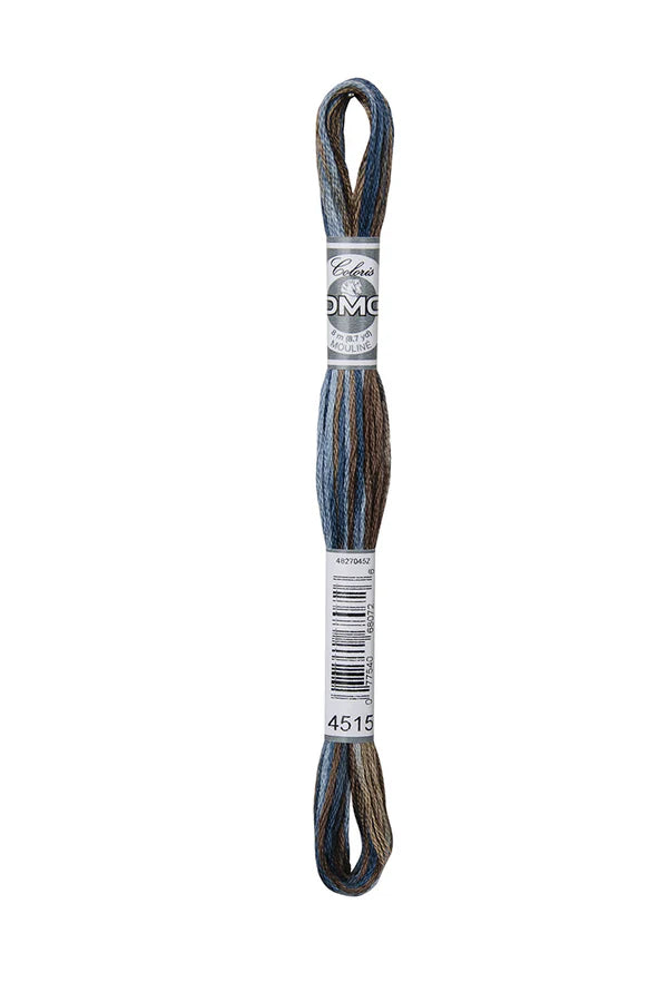 DMC Coloris 6-Strand 4500