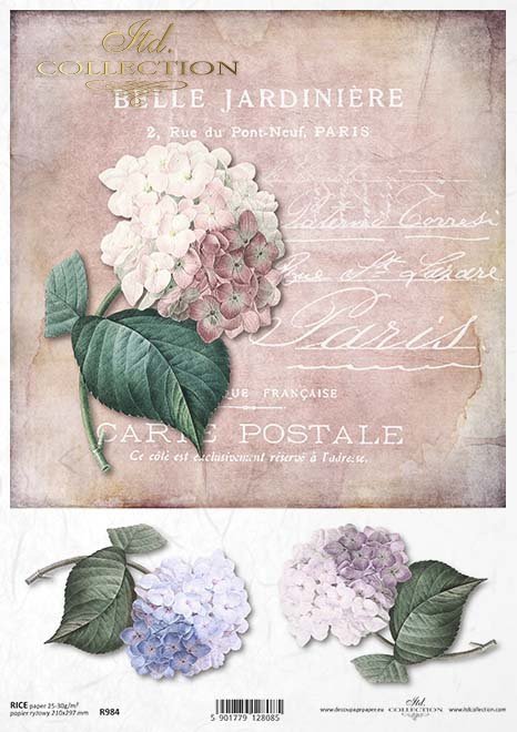 ITD Collection Hydrangea Postale