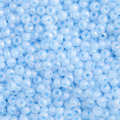 Czech Seed Beads 10/0 22g