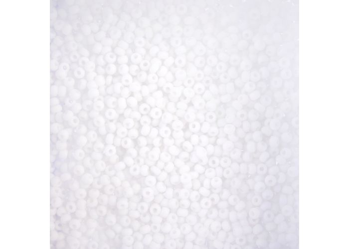 Czech Seed Beads 10/0 22g