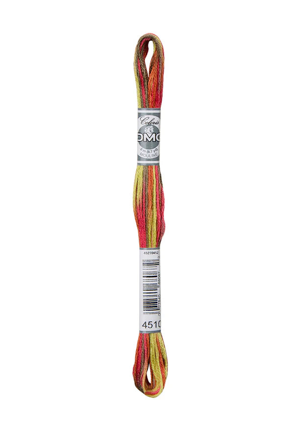 DMC Coloris 6-Strand 4500