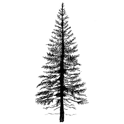 Lavinia Stamps - Fir Tree 1 - Clear Stamp
