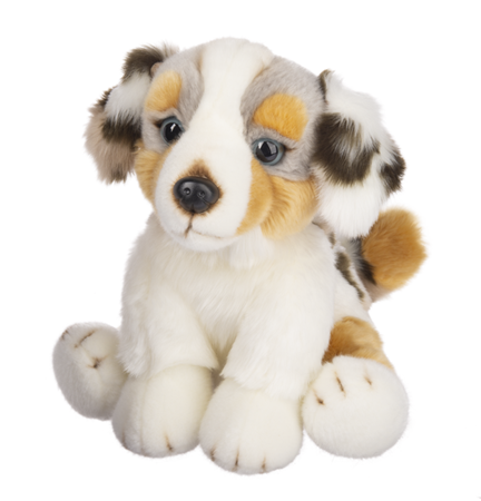 12' HERITAGE AUSTRALIAN SHEPARD