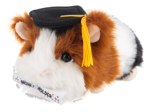 Graduation Guinea Pig
