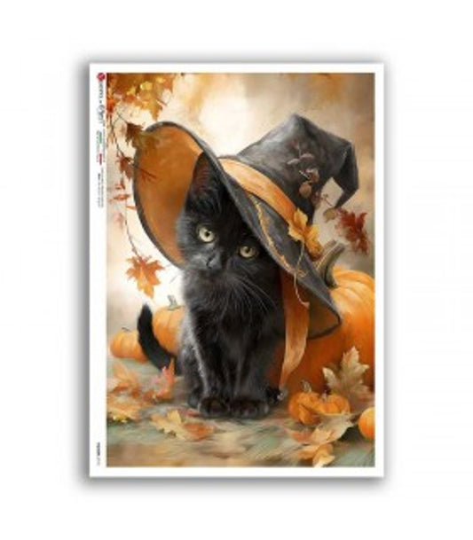 Paper Designs - Black Kitten in Witch Hat A4