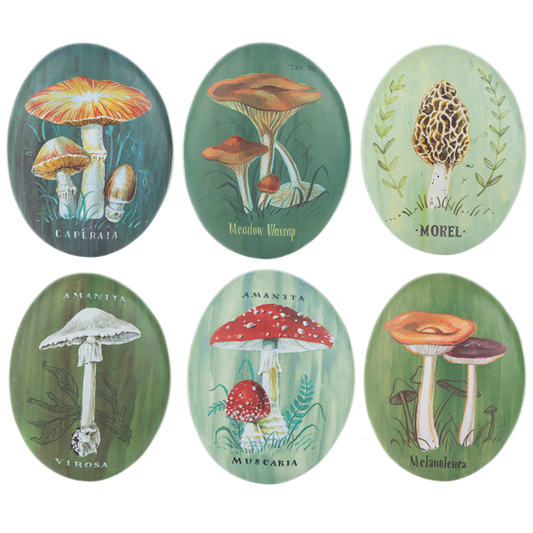 Printed Artisian Mushroom Resin Stone