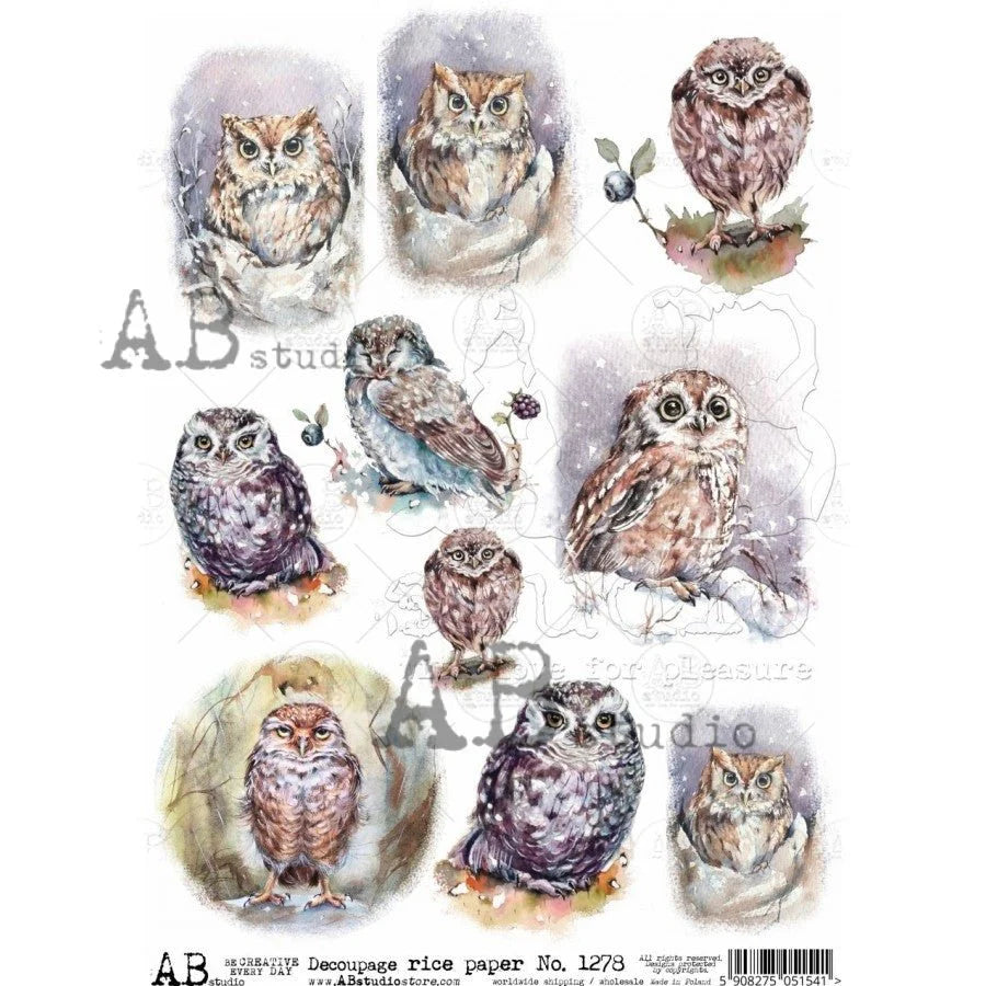 AB Studios 9 Pack Watercolor Owls