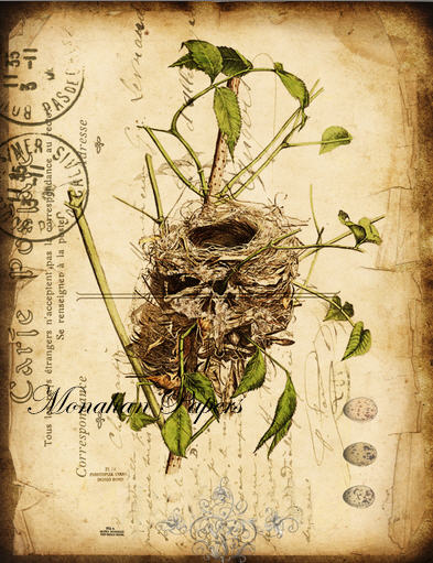 Monahan Papers - Birds, Nests & Florals Papers 11x17"