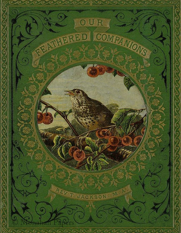 Monahan Papers - Birds, Nests & Florals Papers 11x17"