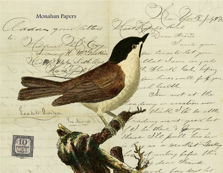Monahan Papers - Birds, Nests & Florals Papers 11x17"