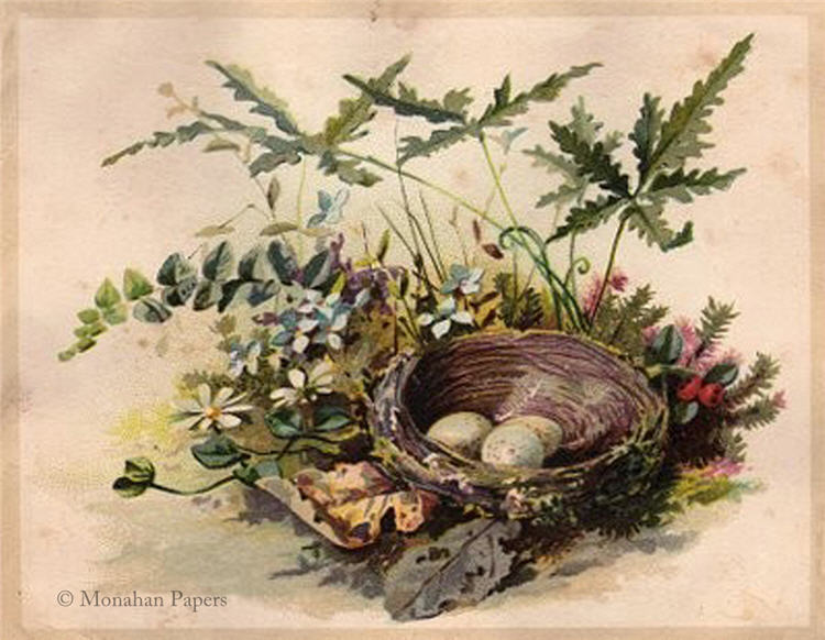 Monahan Papers - Birds, Nests & Florals Papers 11x17"