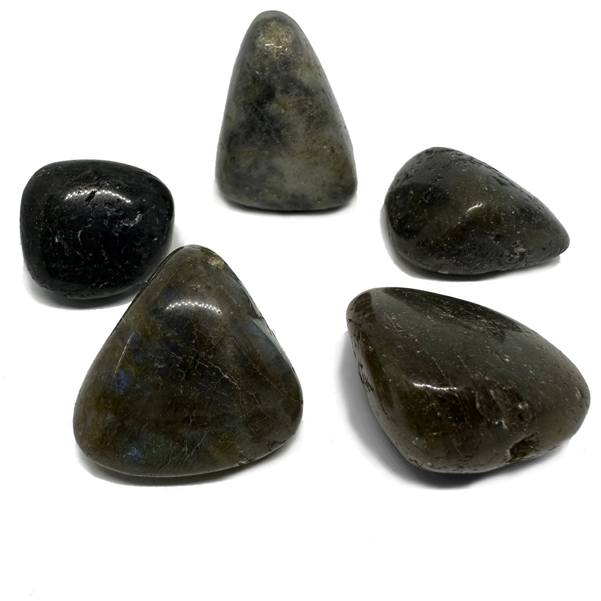 LABRADORITE TUMBLED