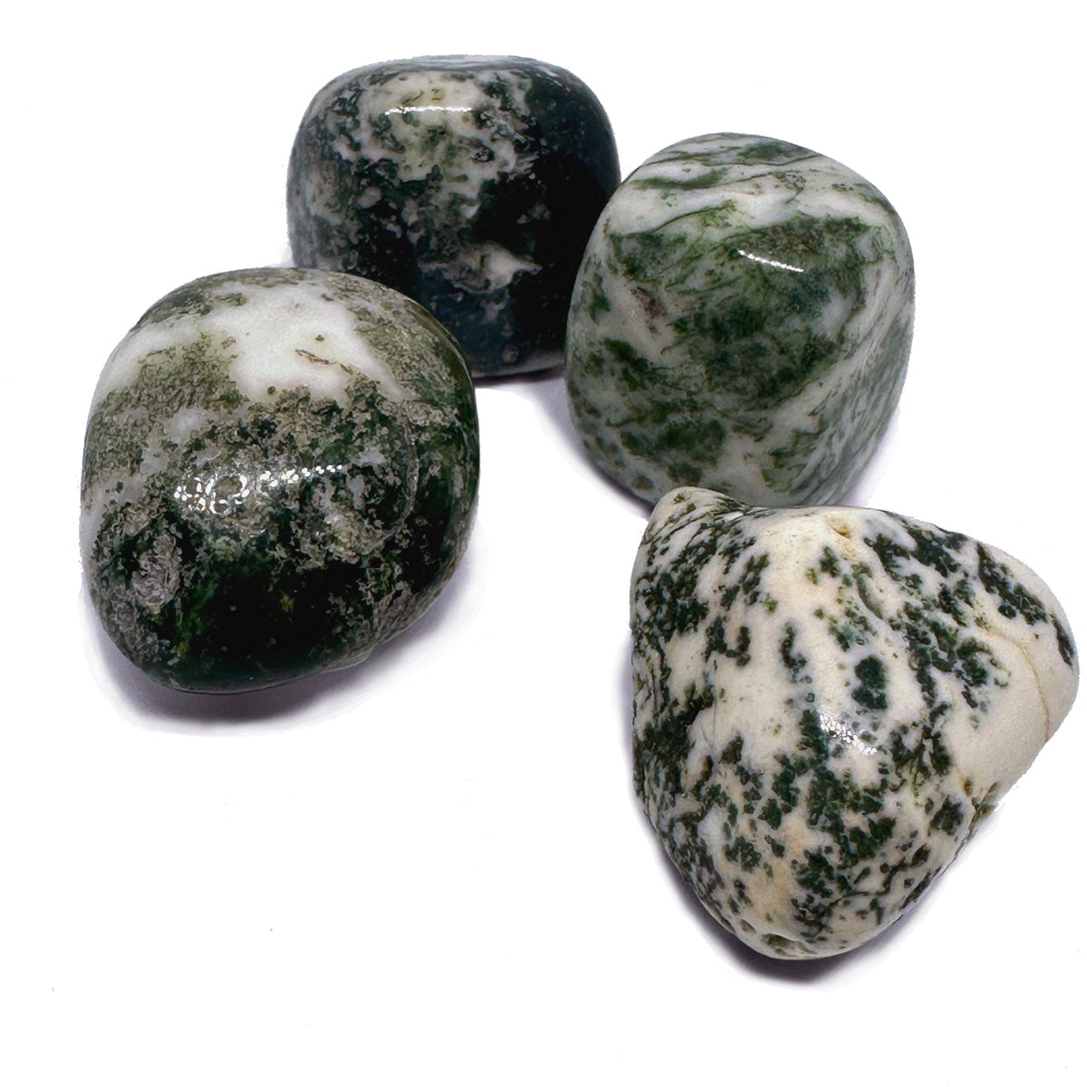 TREE AGATE