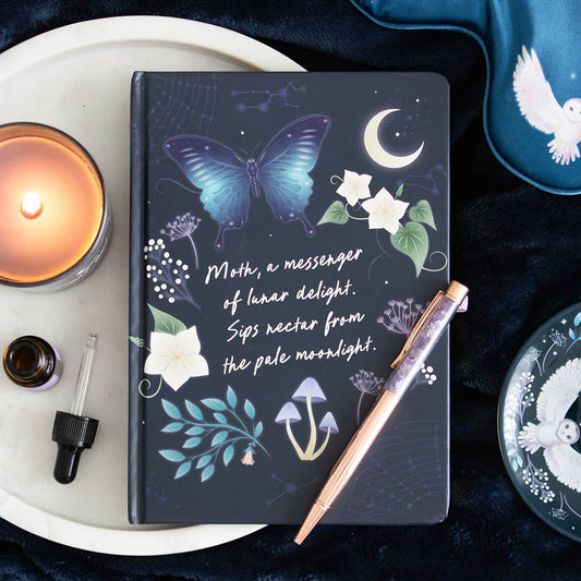 Something Different : Midnight Moth Journal with Amethyst Pen