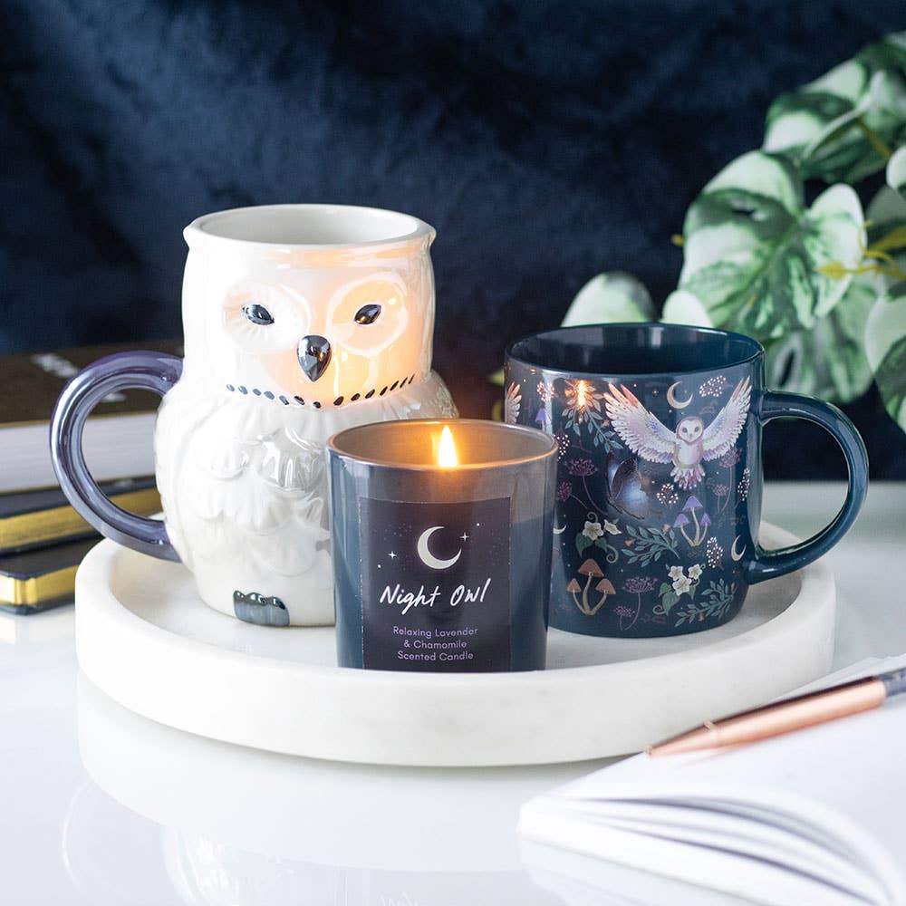 Something Different Wholesale Iridescent Owl Mug