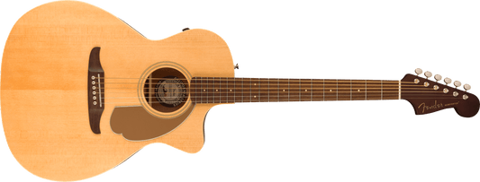 Fender : Newporter player