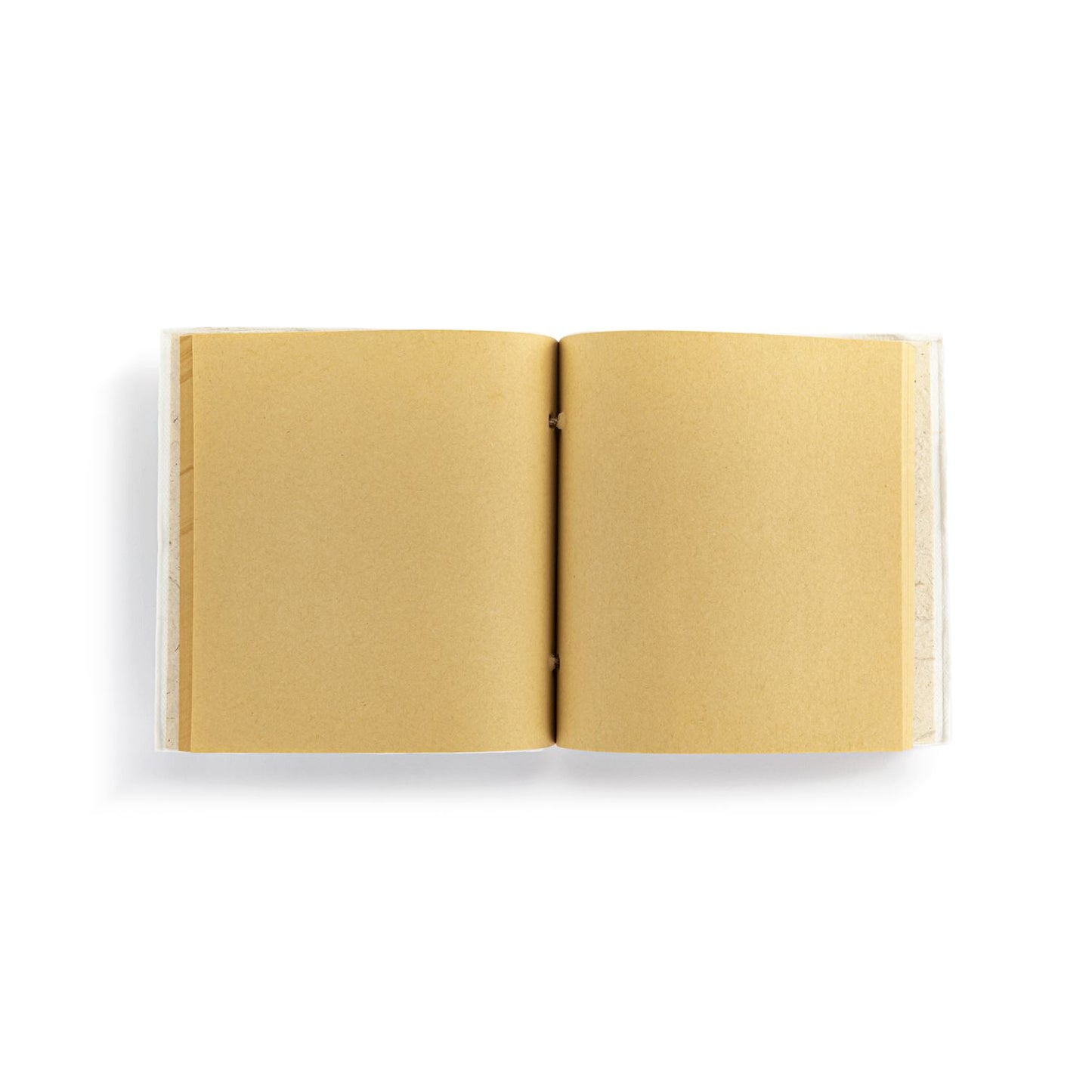 Winnie the Pooh Pooh's Guide for A Good Day Journal