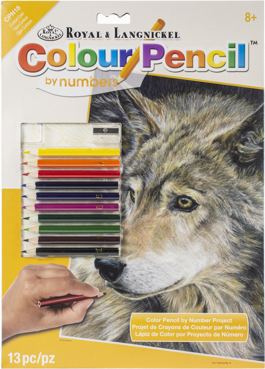 Royal & Langnickel Colour Pencil by Numbers Curious Eyes