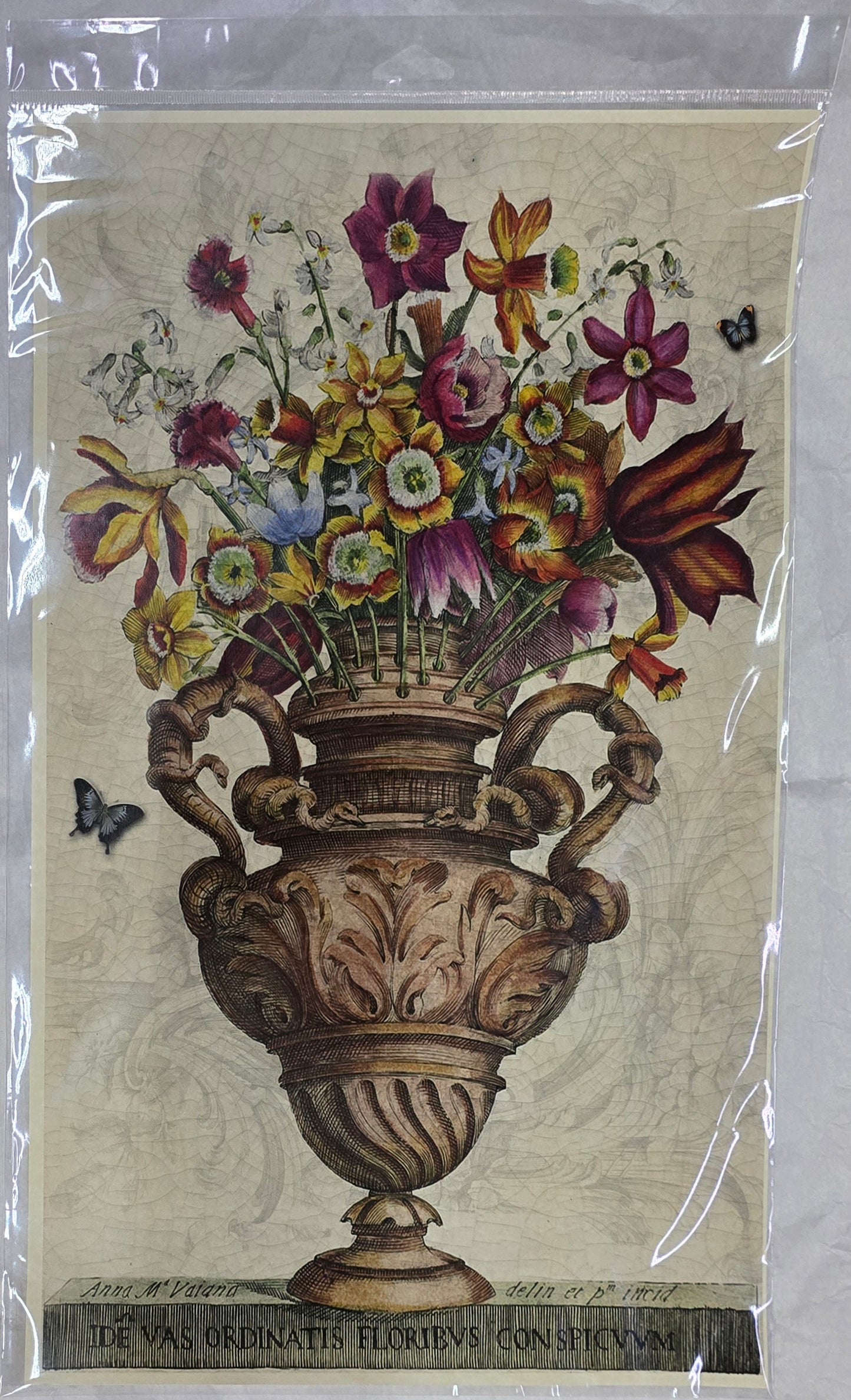 Monahan Papers - Birds, Nests & Florals Papers 11x17"