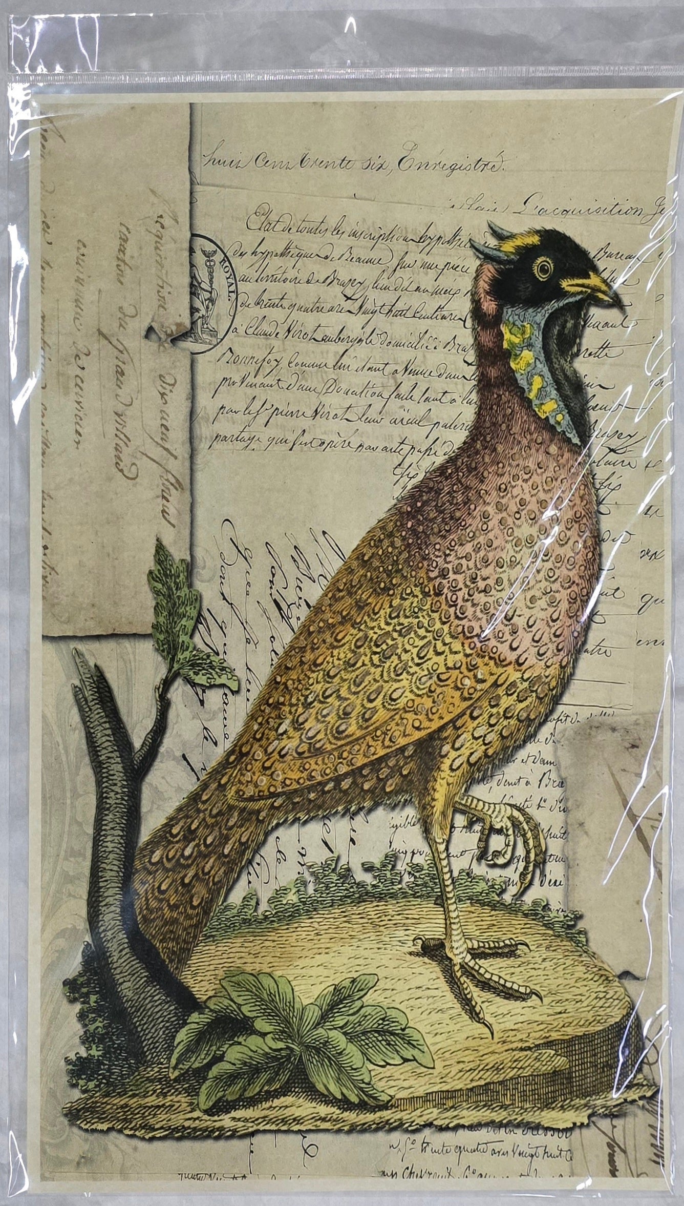 Monahan Papers - Birds, Nests & Florals Papers 11x17"