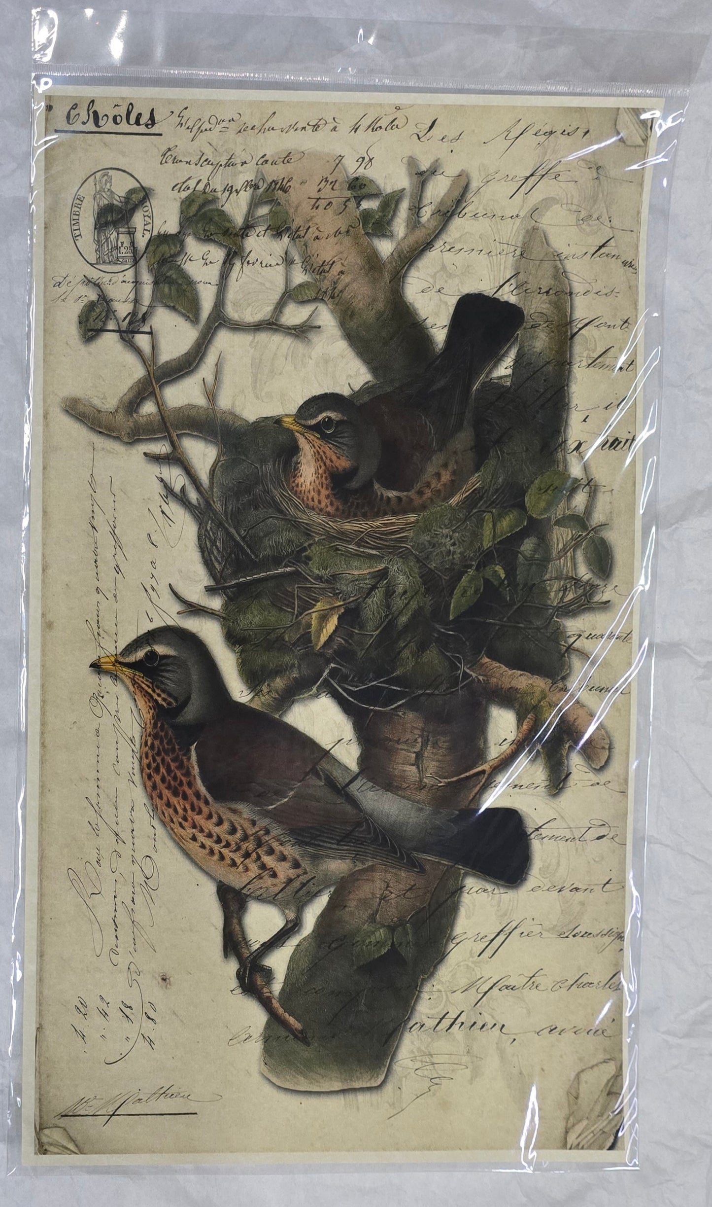 Monahan Papers - Birds, Nests & Florals Papers 11x17"