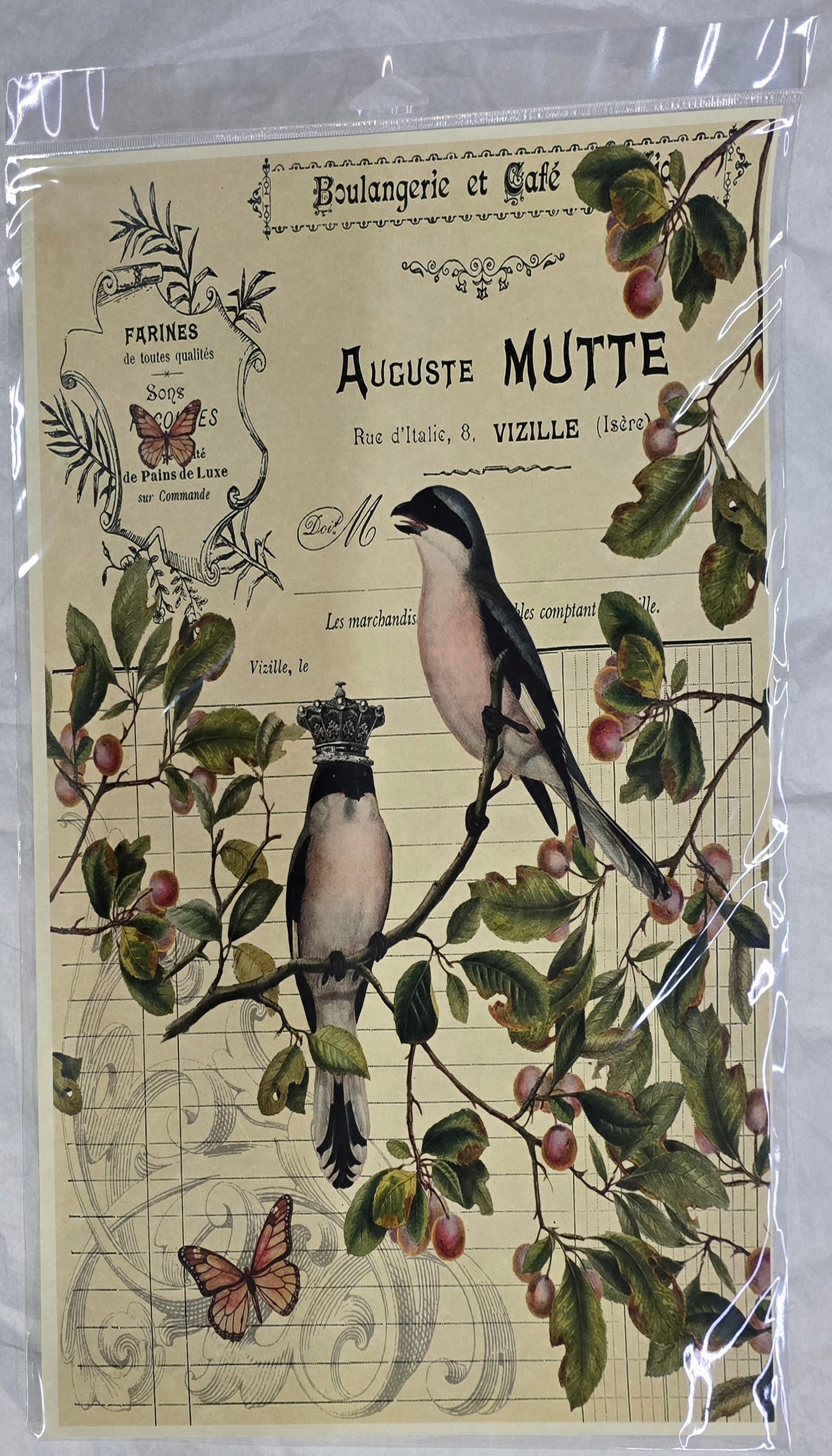 Monahan Papers - Birds, Nests & Florals Papers 11x17"