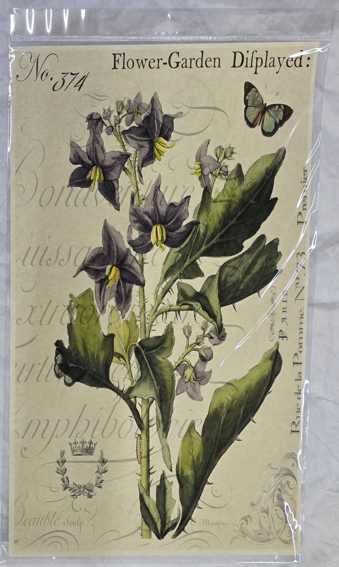 Monahan Papers - Birds, Nests & Florals Papers 11x17"