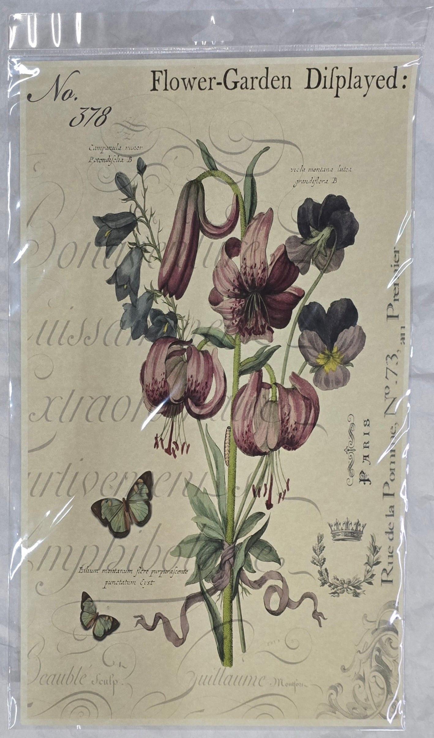 Monahan Papers - Birds, Nests & Florals Papers 11x17"