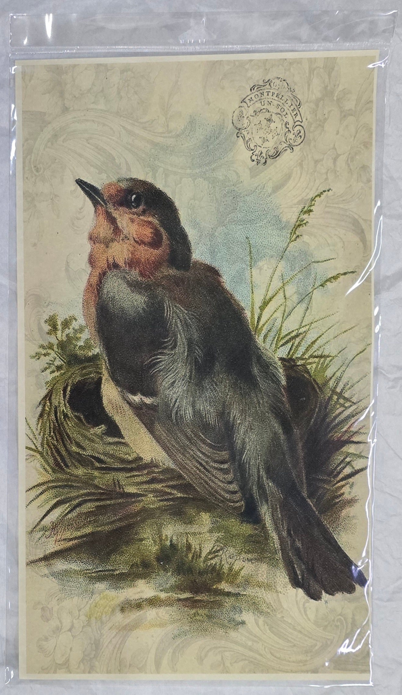 Monahan Papers - Birds, Nests & Florals Papers 11x17"