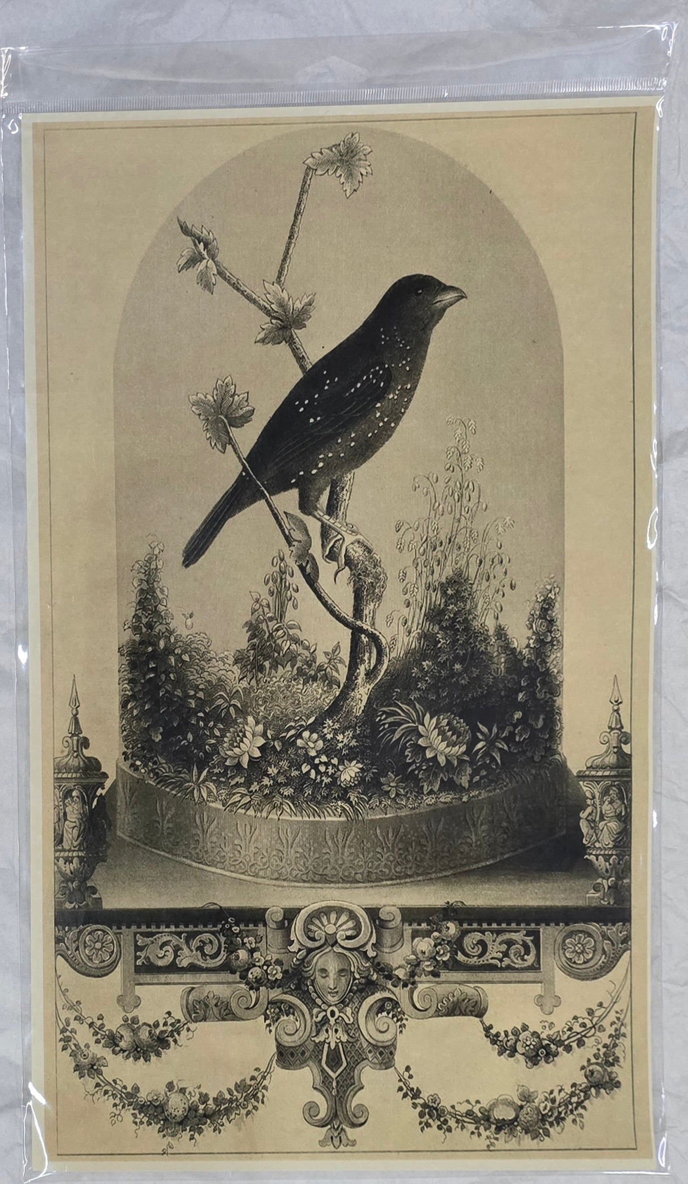 Monahan Papers - Birds, Nests & Florals Papers 11x17"