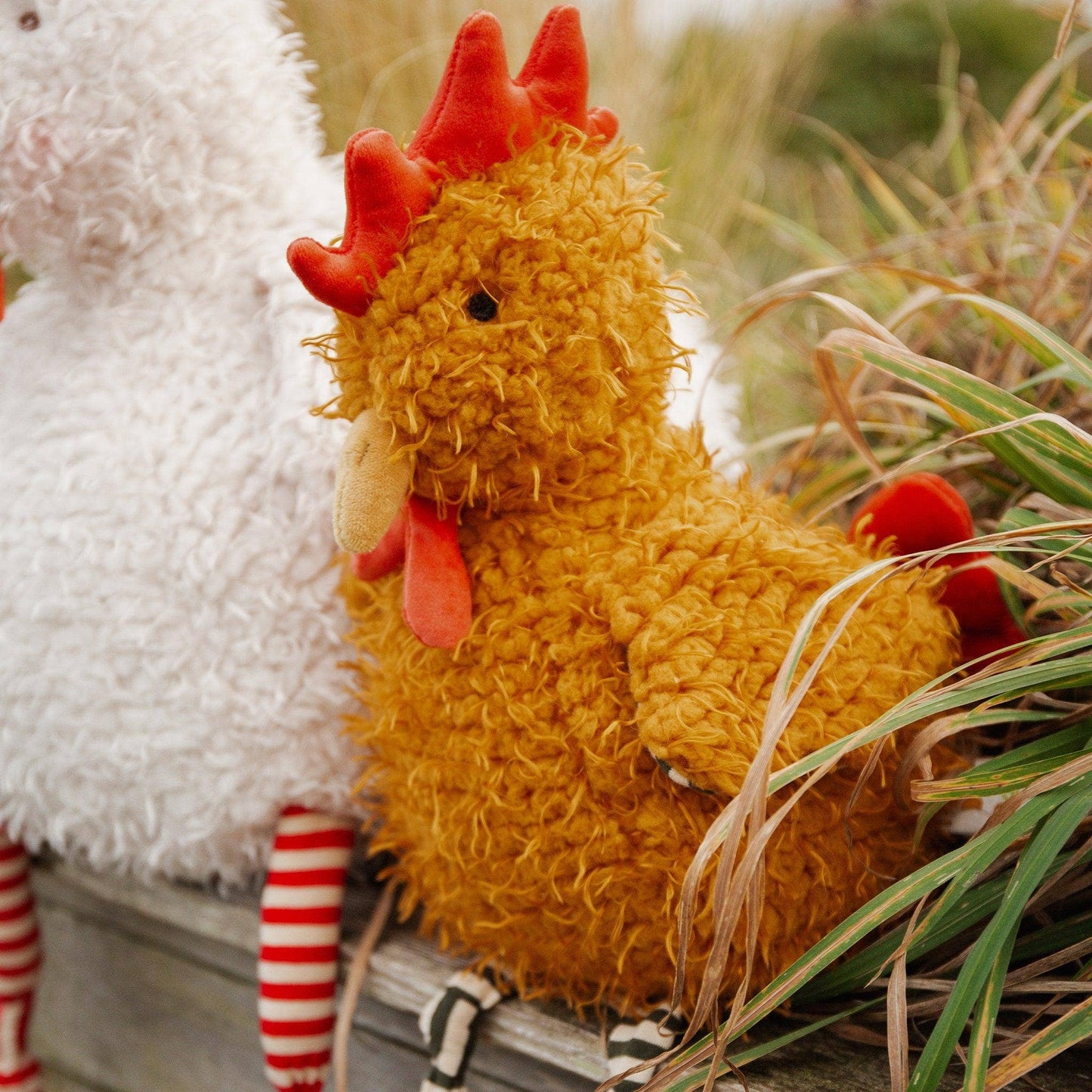 Bunnies By the Bay - Randy The Rooster