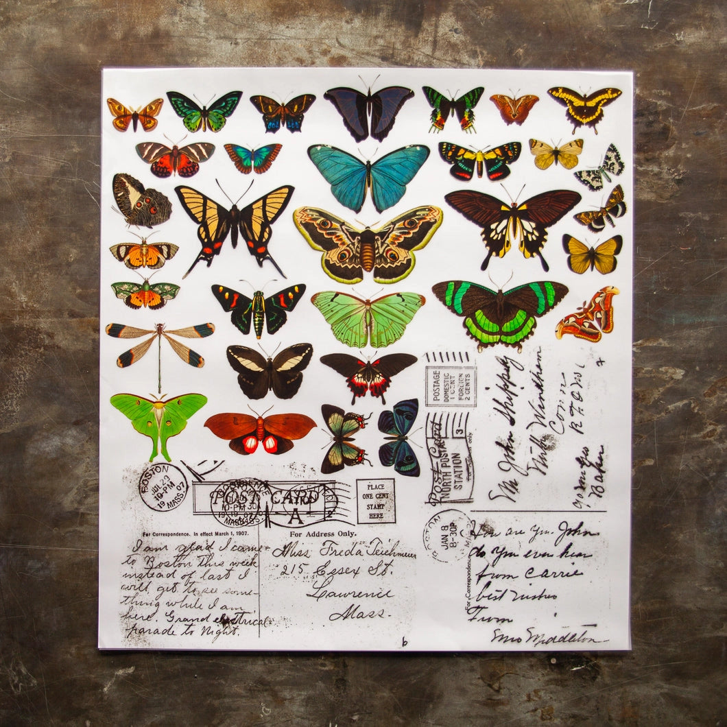 A Marker's Studio - Butterflies Transfer 24"x22"